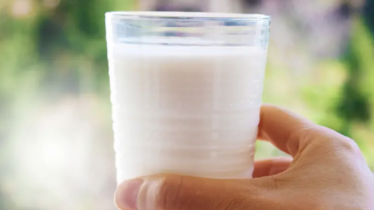 Laktoz enzimi ve parçalanması sonrası... Laktoz intoleransı belirtileri neler?