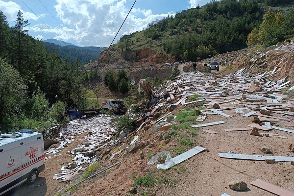 Foto - Laminant yüklü tır dereye yuvarlandı