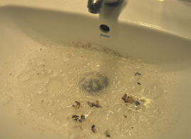 Foto - Lavabo açıcı! Uzman isim: 1. Dünya savaşında resmen Almanlar Fransızlara karşı kullandı deyip neden patlıyor açıkladı