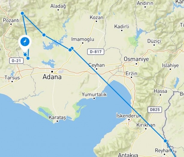 Foto - Leyleğin üstüne verici taktılar! Dünyada gezdiği yerleri böyle görüntülediler