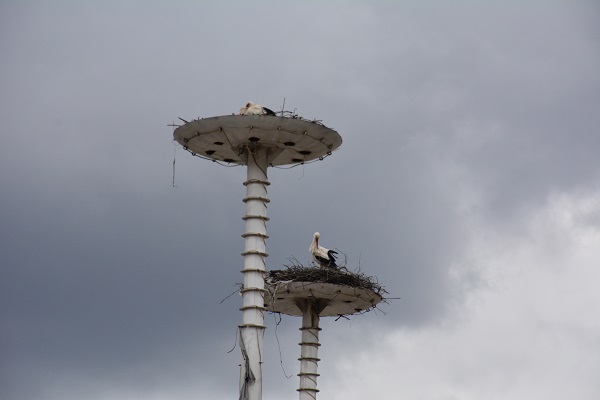 "Leylek Apartmanı" sakinleri erken döndü