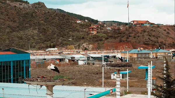 Foto - "Leylek Apartmanı" sakinleri erken döndü