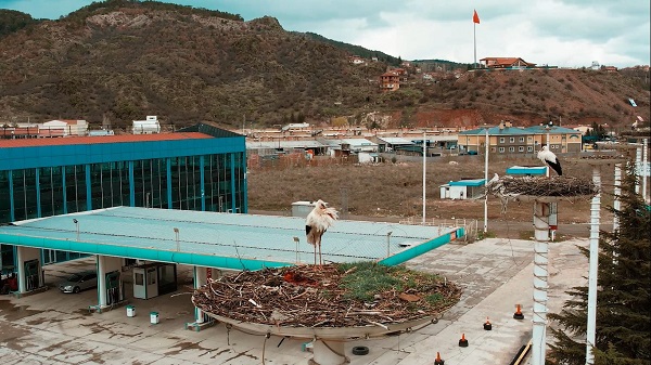 Foto - "Leylek Apartmanı" sakinleri erken döndü