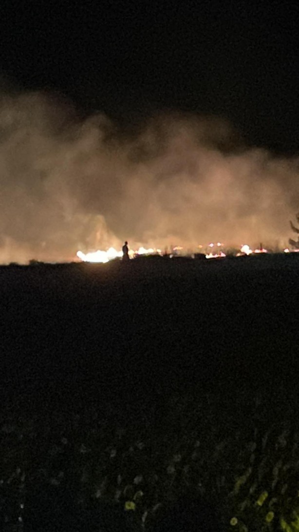 Foto - Leylek sürüsü anız yangını çıkarttı