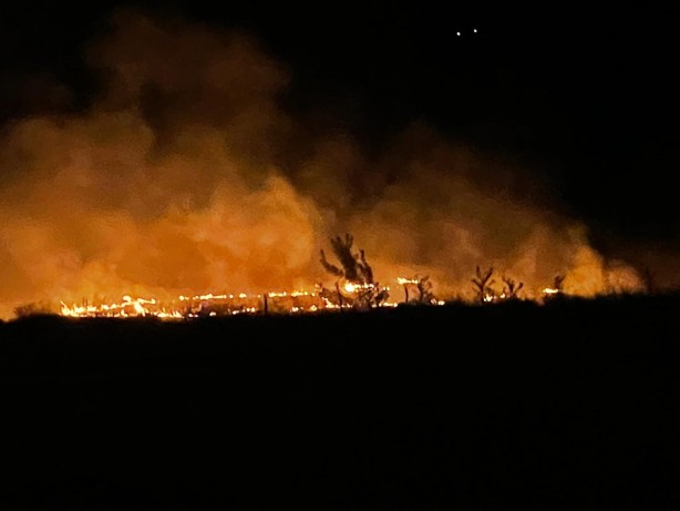 Foto - Leylek sürüsü anız yangını çıkarttı