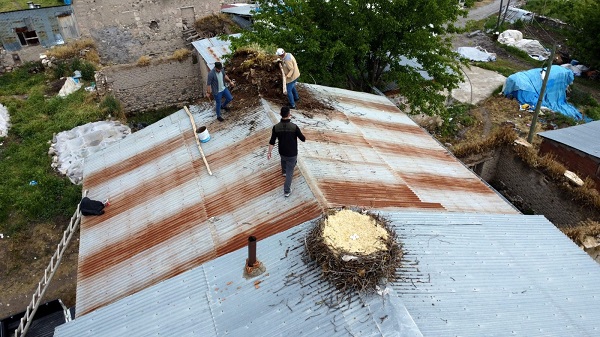 Foto - Leylek yuvaları bakın neden taşındı