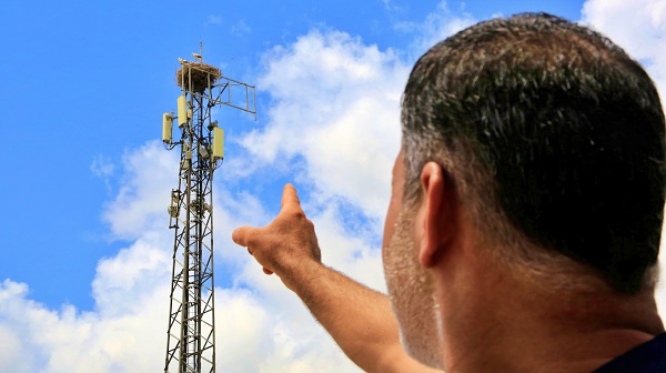 Foto - Leylekler 10 yıldır buradan vazgeçmiyor! İşte leylek ailesinin ilginç yuvası