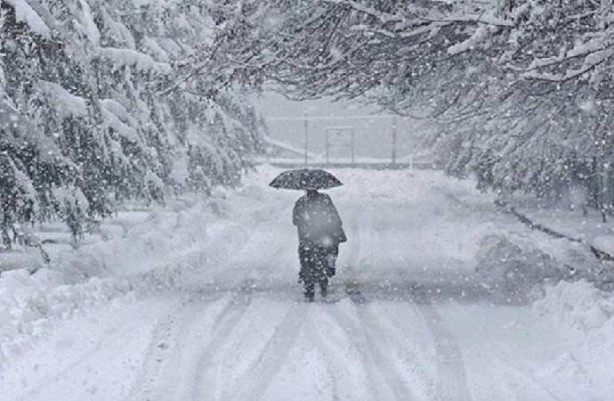 Foto - Leylekler Türkiye'yi erken terk etti! Bakın bu neyin habercisi