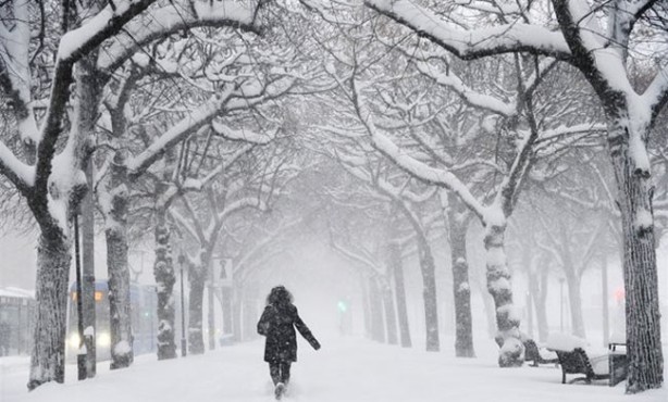 Foto - Leylekler Türkiye'yi erken terk etti! Bakın bu neyin habercisi