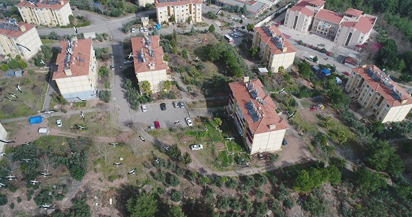 Foto - Leyleklerin göçü böyle görüntülendi