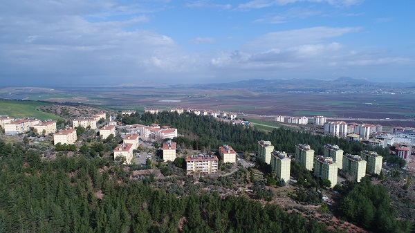 Foto - Leyleklerin göçü böyle görüntülendi