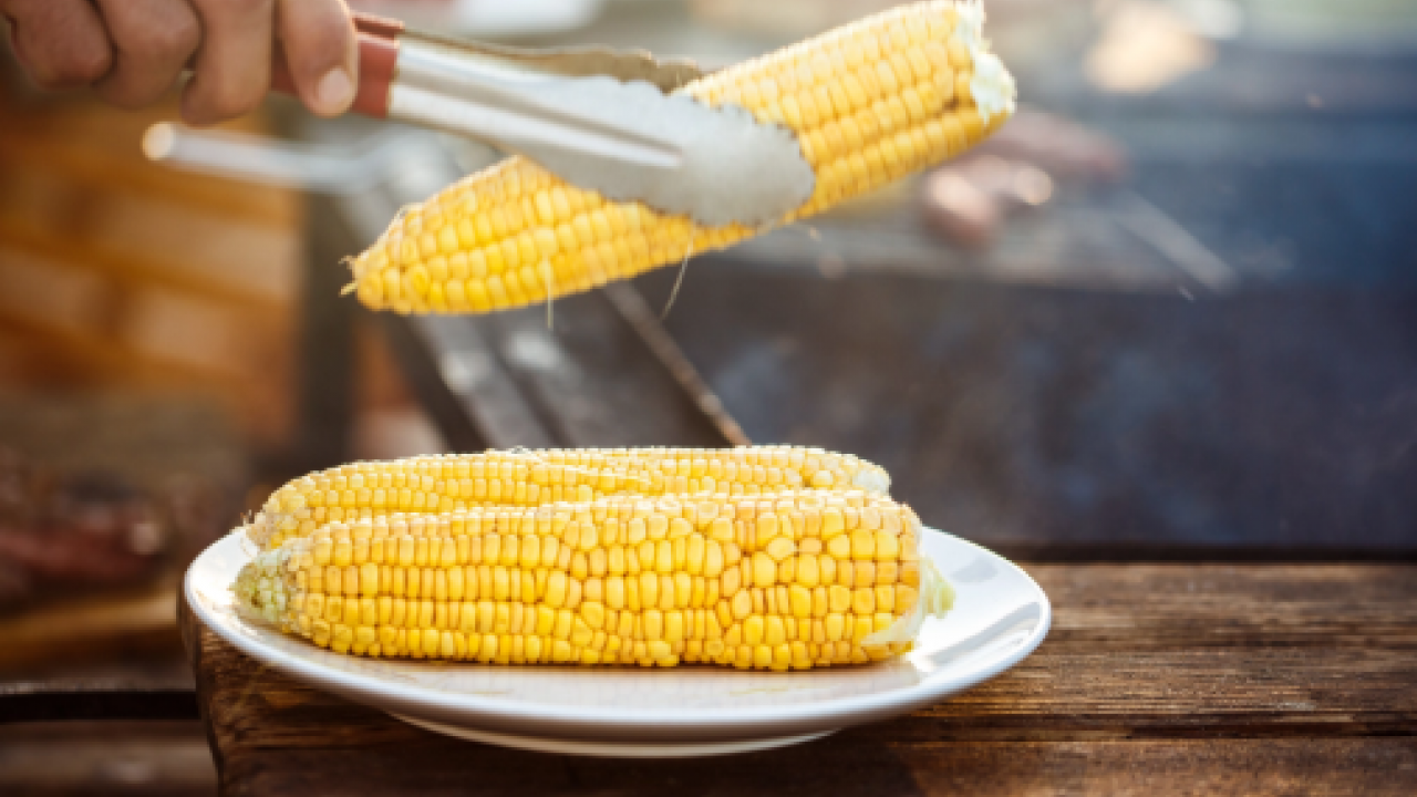 Lezzetini kat kat arttıracak! Haşlanmış mısırın yumuşamasını sağlayan yöntem