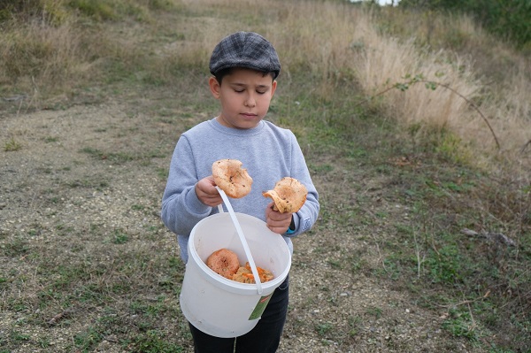 Foto - Lezzetiyle dikkat çekiyor! Kilosu 100 TL
