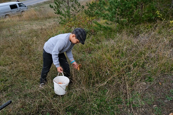 Foto - Lezzetiyle dikkat çekiyor! Kilosu 100 TL