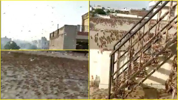 Foto - Libya’da hezimete uğrayan BAE’ye bir şok daha... Dubai'yi istila ettiler