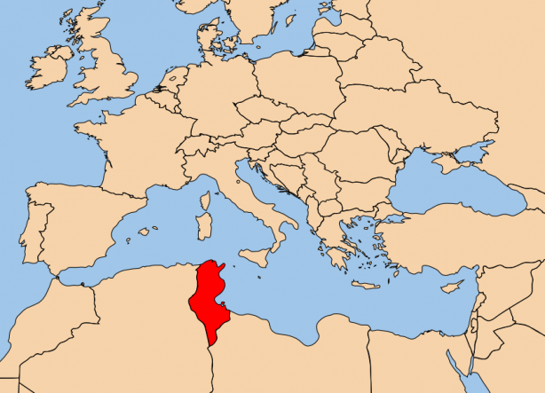 Foto - Libya'nın komşusu Tunus'ta darbe girişimi! İşte arkasındaki Türkiye karşıtı kuklalar