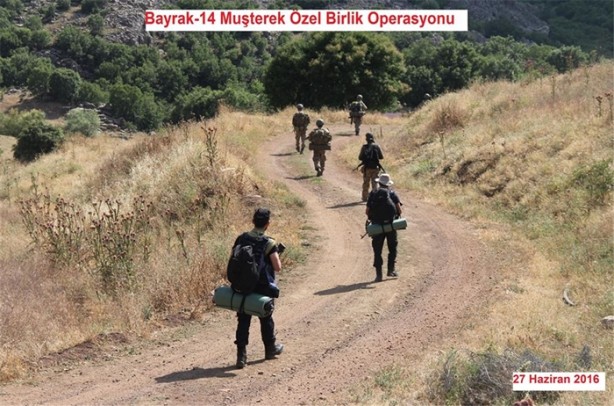 Foto - Lice'de silahlı PKK'lılar yakalandı