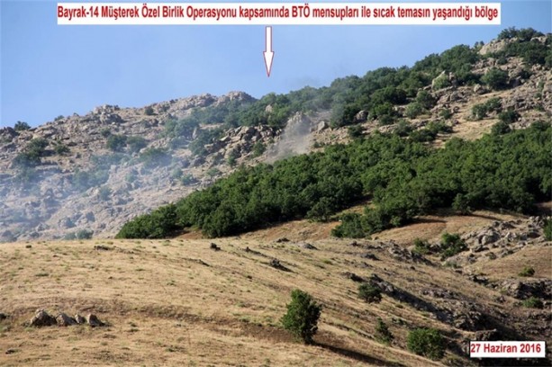 Lice'de silahlı PKK'lılar yakalandı