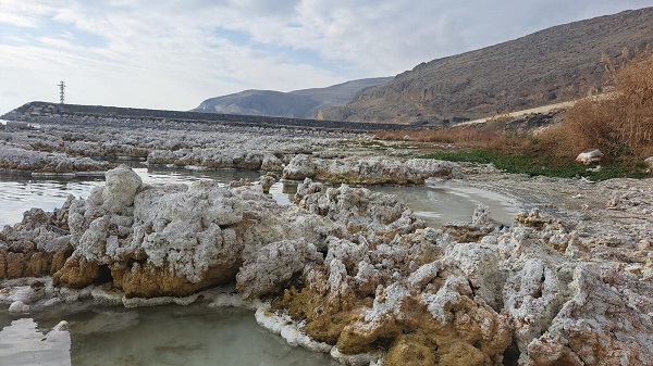 Foto - Liman kullanılmaz hale geldi! Van Gölü'nde şaşkına çeviren olay
