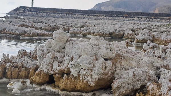 Foto - Liman kullanılmaz hale geldi! Van Gölü'nde şaşkına çeviren olay