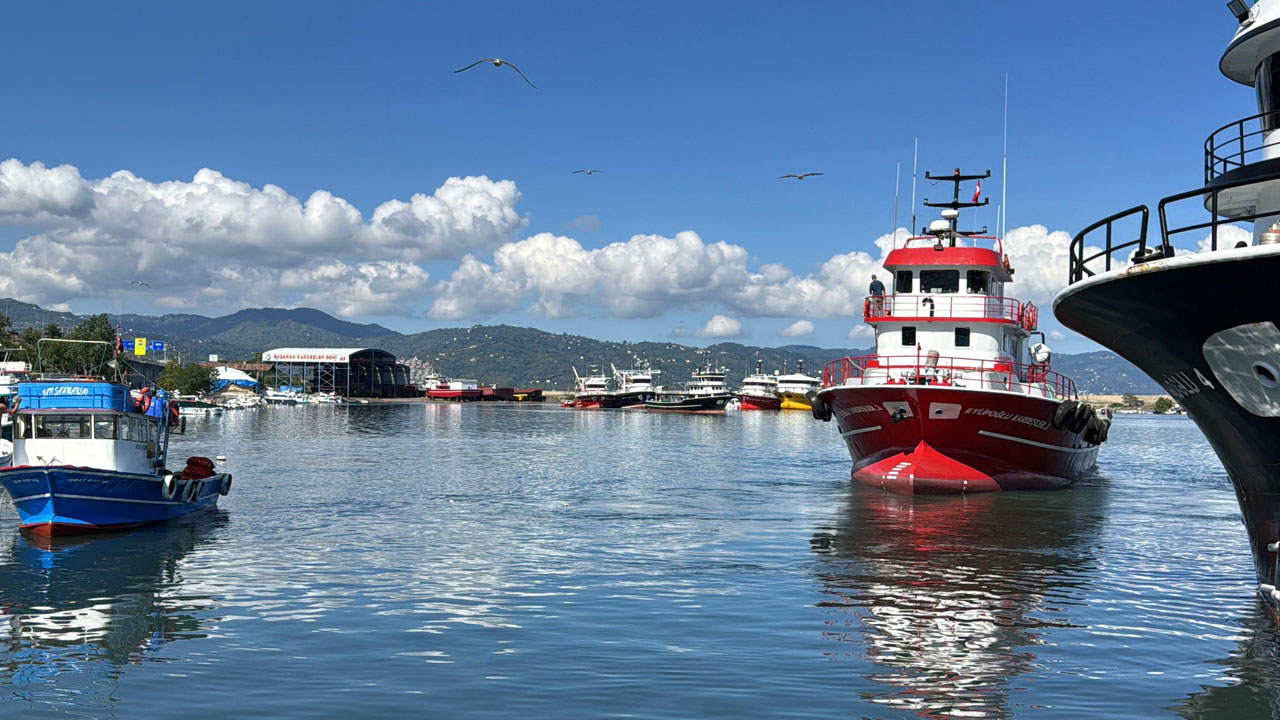 Foto - Limana bereketle döndüler! Balıkçılar kasalar dolusu hamsiyle döndü