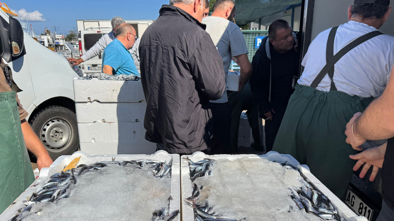 Foto - Limana bereketle döndüler! Balıkçılar kasalar dolusu hamsiyle döndü