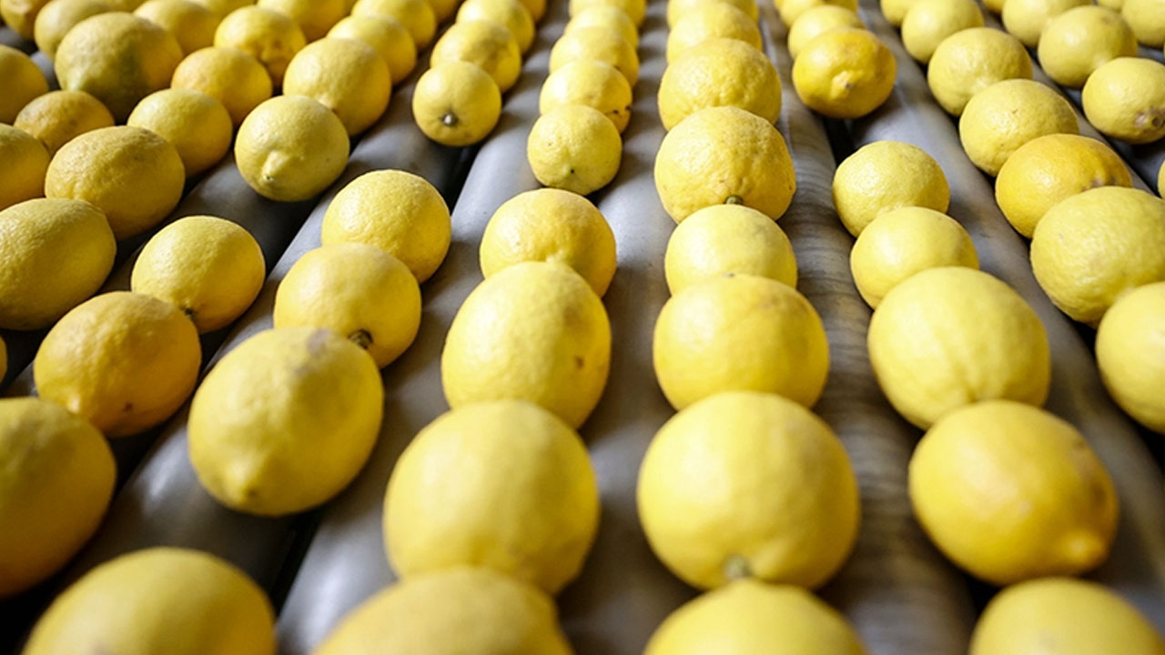 Foto - Limon alırken 2 kere düşünün! Yeşil mi alınmalı sarı mı? Hangisini satın almalıyız?