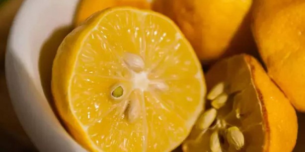 Foto - Limon çekirdeklerini çöpe atan bin pişman olacak! Faydaları boyundan büyük! Bir avuç kaynatın, o hastalığı hemen unutun