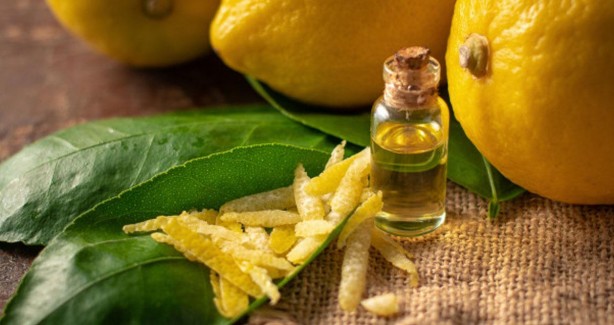 Foto - Limon kabuğu eklem ağrılarına şifa oluyor