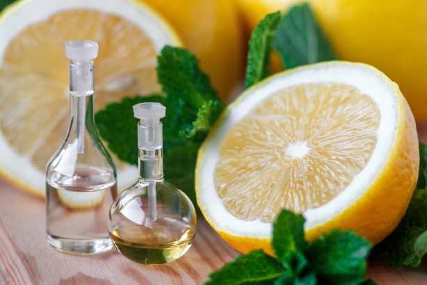 Foto - Limon kabuklarını sakın çöpe atmayın!