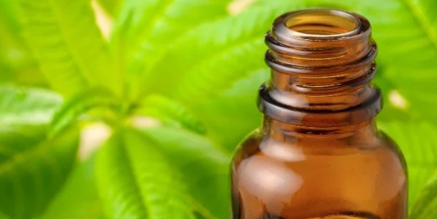 Foto - Limon otu özü kanser hücrelerini öldürüyor ortaya çıktı! Uzman isimler açıkladı: Antioksidan, iyi geliyor!