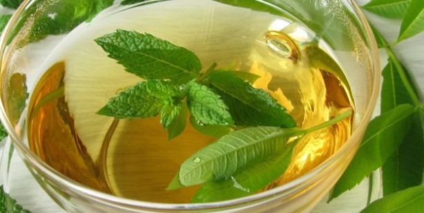 Foto - Limon otu özü kanser hücrelerini öldürüyor ortaya çıktı! Uzman isimler açıkladı: Antioksidan, iyi geliyor!