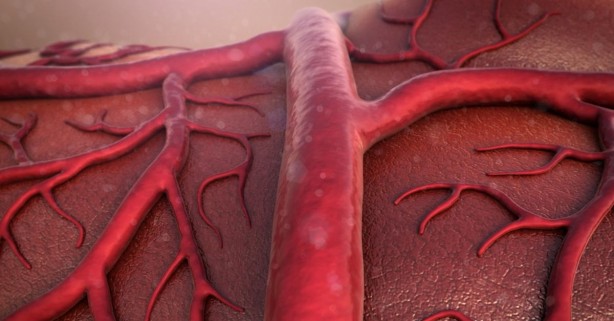 Foto - Limon tüketenler dikkat! İlginç karışım… Vücutta bakın neler oluyor