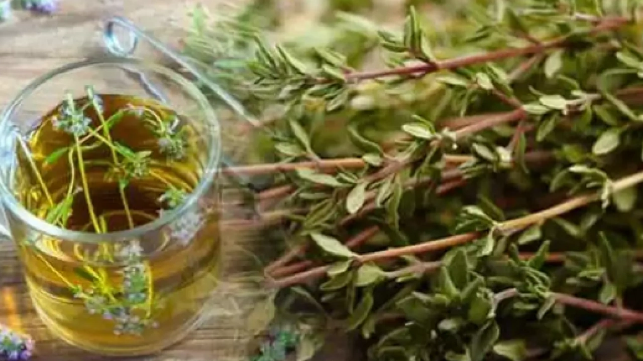 Foto - Limondan 30 derece daha güçlü o içecek, ömrü uzatıyor! Bilim şaşkın: Müthiş şifa…