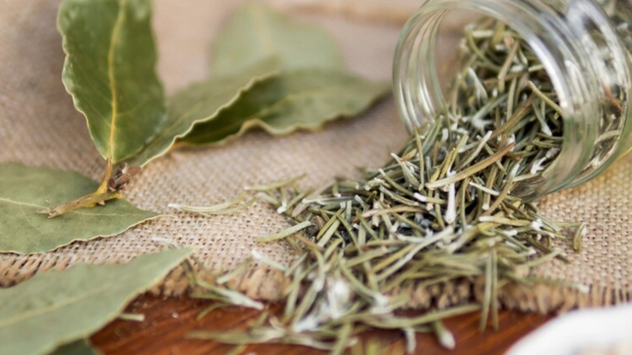 Foto - Limondan 30 derece daha güçlü o içecek, ömrü uzatıyor! Bilim şaşkın: Müthiş şifa…