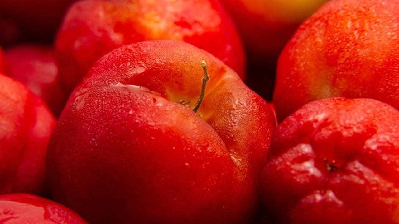 Foto - Limondan 60 kat daha vitaminli: "Yeşil altın" denilen bu meyveyi ekenler köşeyi dönüyor