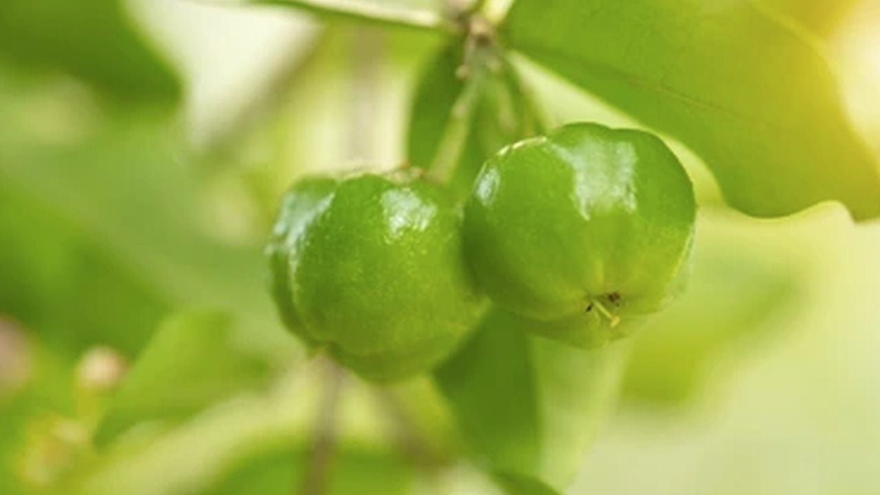 Limondan 60 kat daha vitaminli: "Yeşil altın" denilen bu meyveyi ekenler köşeyi dönüyor