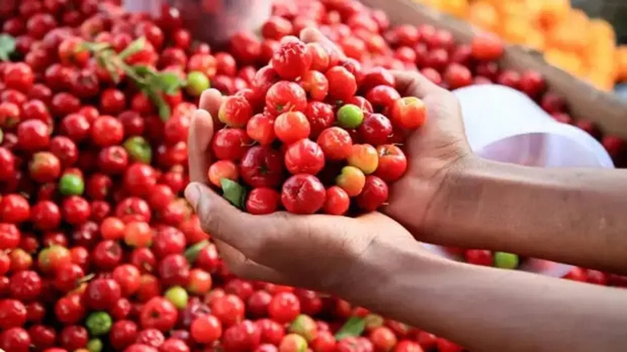Foto - Limondan 60 kat daha vitaminli: "Yeşil altın" denilen bu meyveyi ekenler köşeyi dönüyor