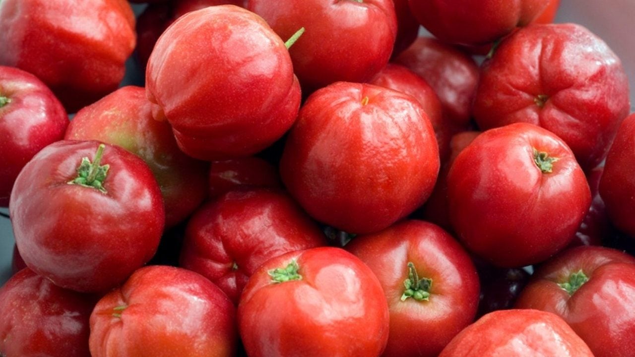 Foto - Limondan 60 kat daha vitaminli: "Yeşil altın" denilen bu meyveyi ekenler köşeyi dönüyor