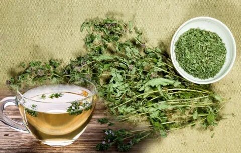 Foto - Limondan ve sarımsaktan 30 kat daha güçlü! Suyunu bardak bardak içende iltihap kalmıyor