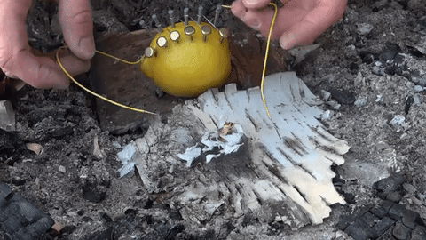 Foto - Limonla ateş yaktı!