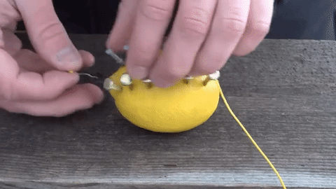 Foto - Limonla ateş yaktı!