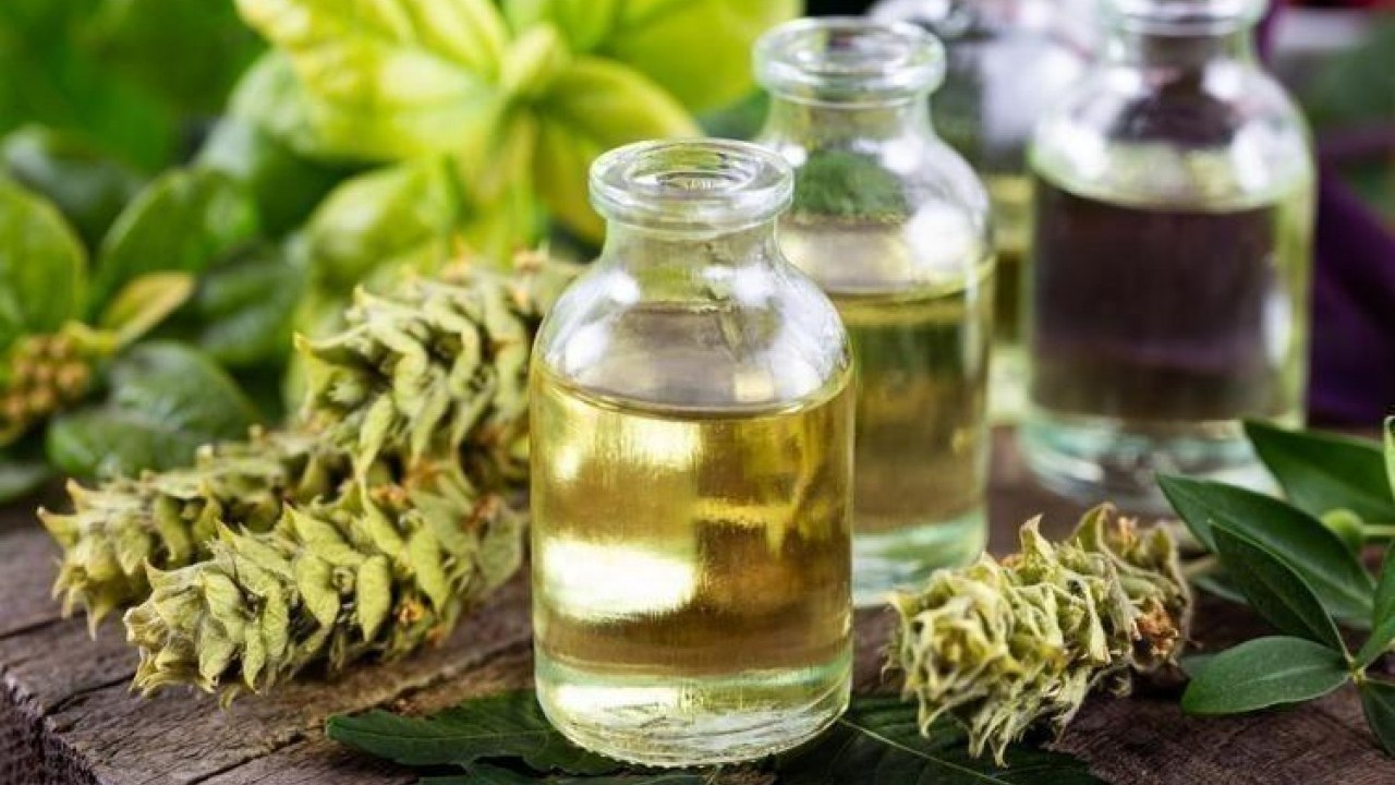 Foto - Limonu ve sarımsağı solladı! Ömrü 10 yıl uzatıyor, iltihabı yok ediyor