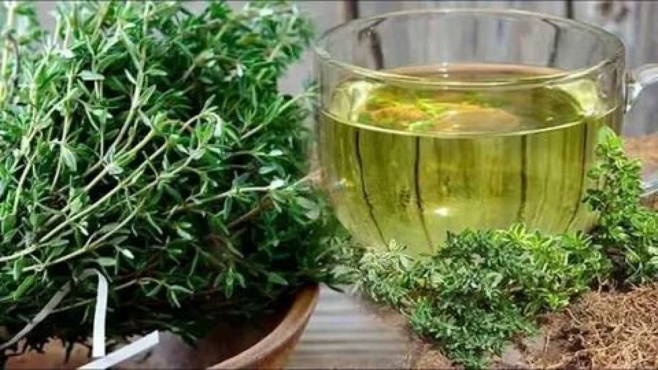 Foto - Limonu ve sarımsağı solladı! Ömrü 10 yıl uzatıyor, iltihabı yok ediyor