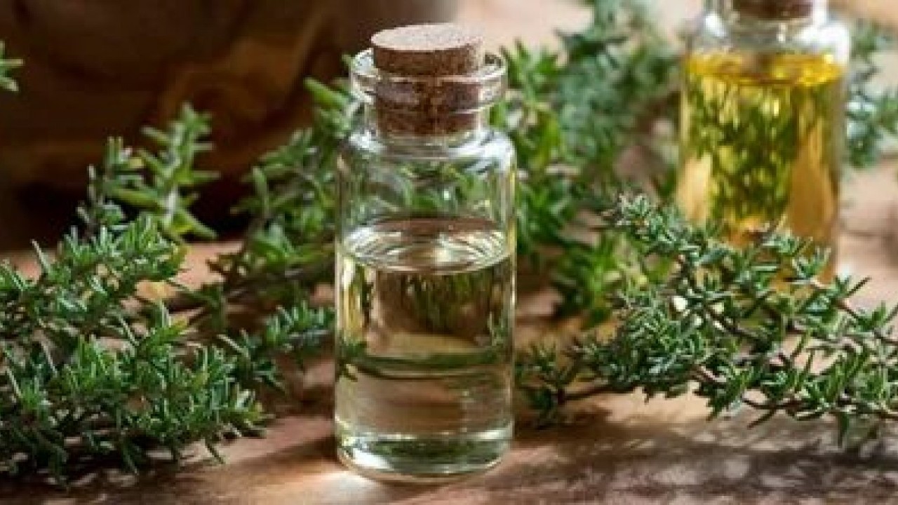 Foto - Limonu ve sarımsağı solladı! Ömrü 10 yıl uzatıyor, iltihabı yok ediyor