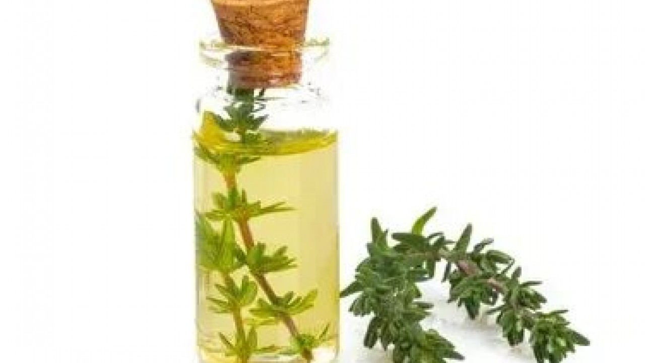 Foto - Limonu ve sarımsağı solladı! Ömrü 10 yıl uzatıyor, iltihabı yok ediyor