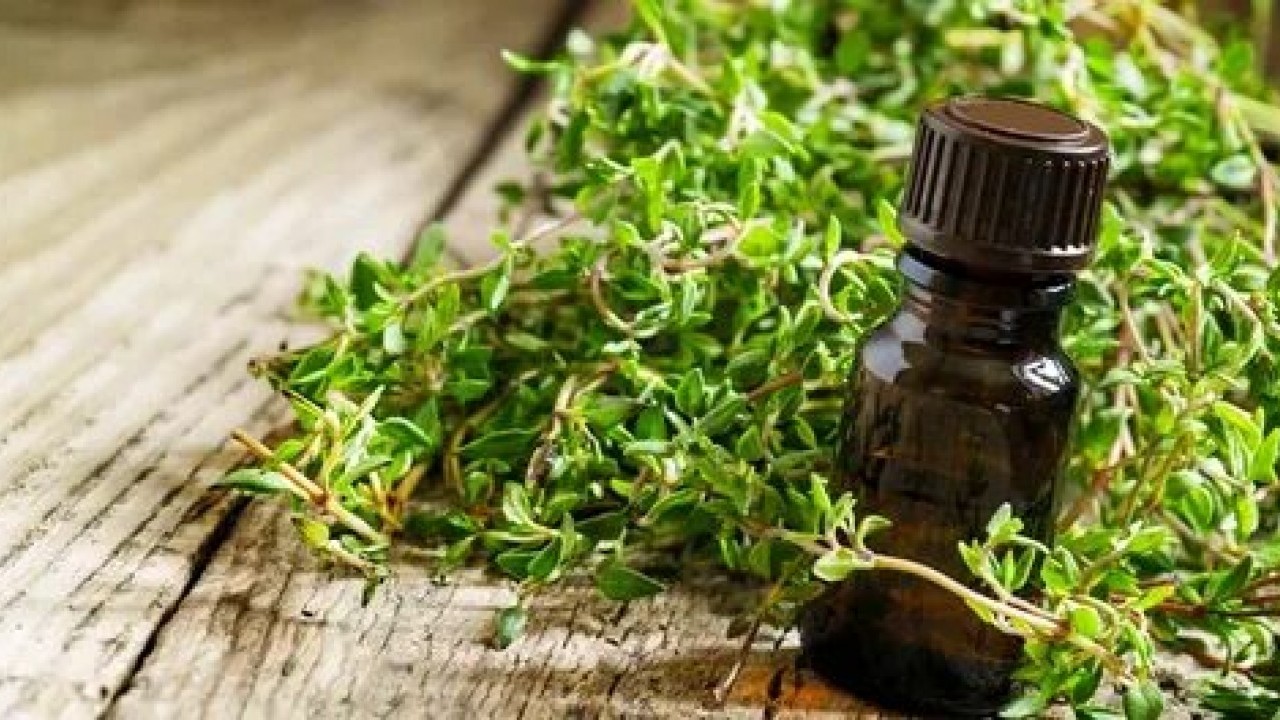 Foto - Limonu ve sarımsağı solladı! Ömrü 10 yıl uzatıyor, iltihabı yok ediyor