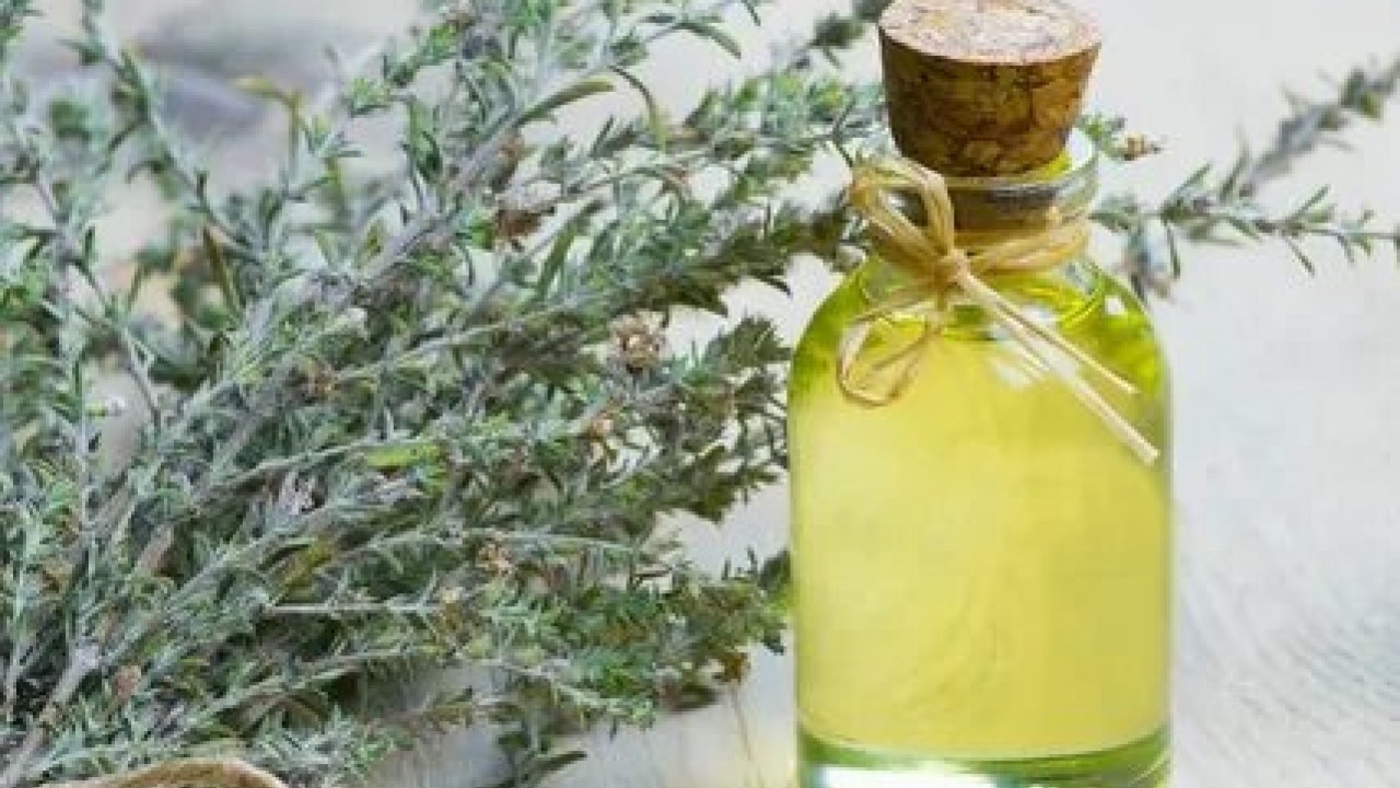 Foto - Limonu ve sarımsağı solladı! Ömrü 10 yıl uzatıyor, iltihabı yok ediyor