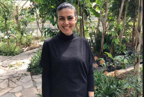 Foto - Limonun üzerine karanfilleri yerleştirin ve olacakları görün!