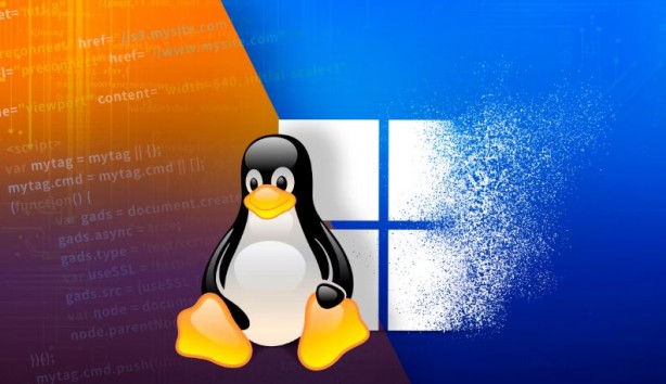Foto - Linux tüm zamanların zirvesinde! Windows gözden düştü